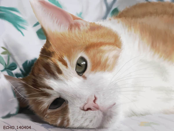 Gatti (362)